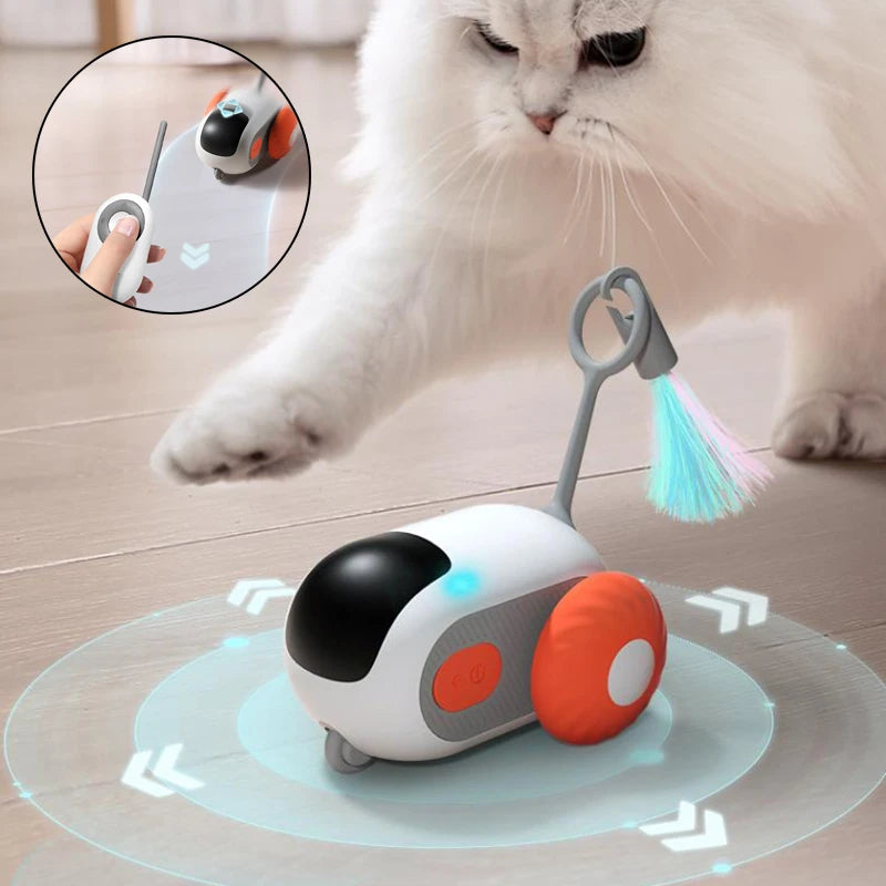 Smart Automatic Chasing Car for Cats