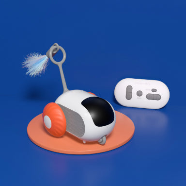 Smart Automatic Chasing Car for Cats