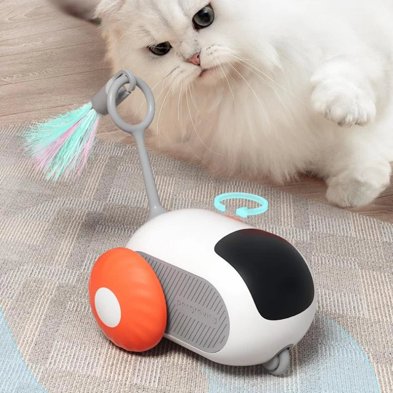 Smart Automatic Chasing Car for Cats