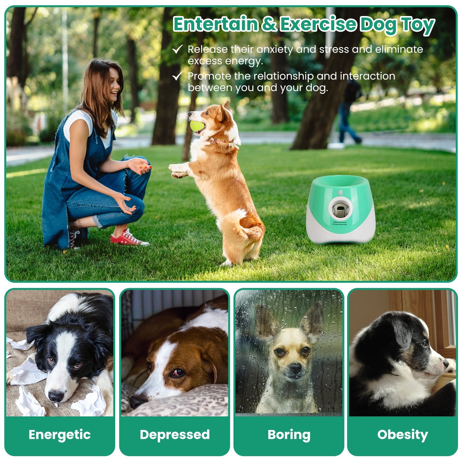 Smart Dog Ball Launcher (3 Distance Modes)