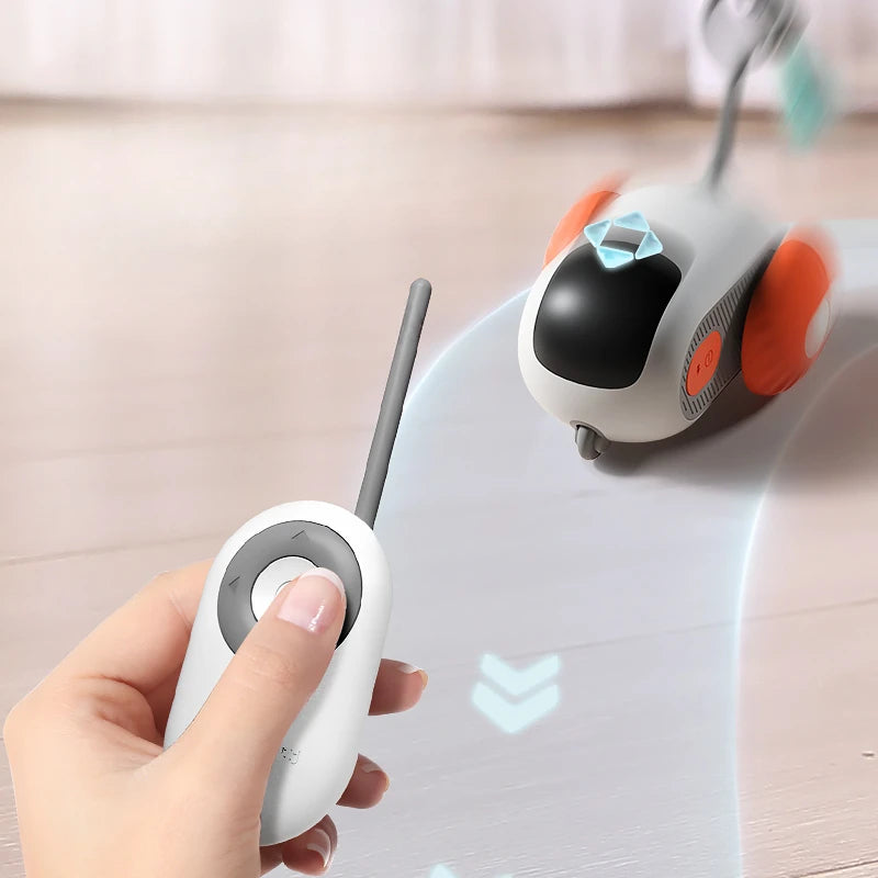 Smart Automatic Chasing Car for Cats