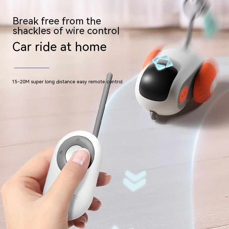 Smart Automatic Chasing Car for Cats
